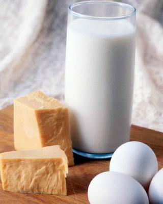 CRISIS ALIMENT&Aacute;RIA