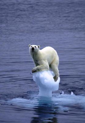 Lescalfament global de la Terra..